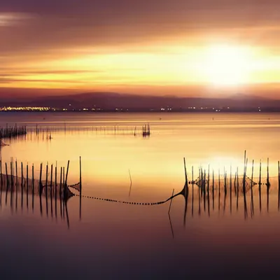 Albufera de Valencia