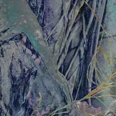 Garden of Recollection: Banyan Tree 16x9
