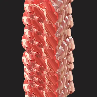 Tied like a salami, it's not salami though.