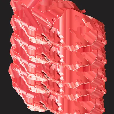 Slice