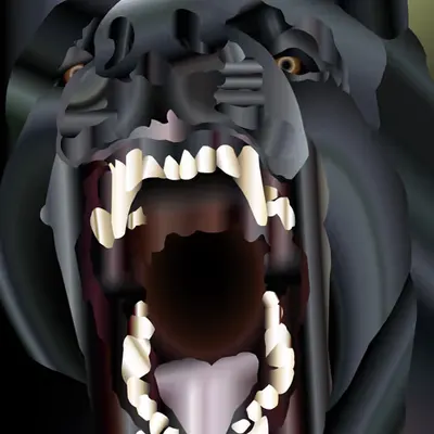 RABIES