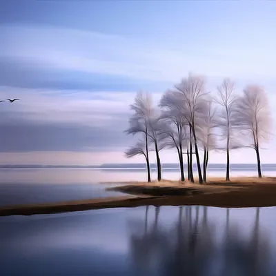 Scape 2