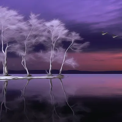 Scape 3
