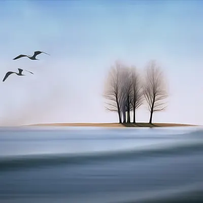 Scape 5