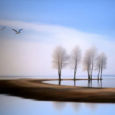 Scape 6