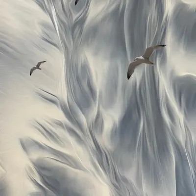 Floating Seagull I