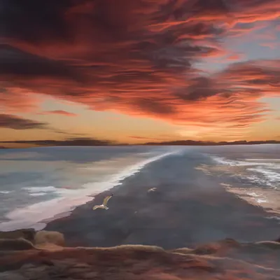 Seashore Infinity II