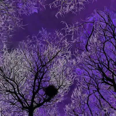 Purple Roof