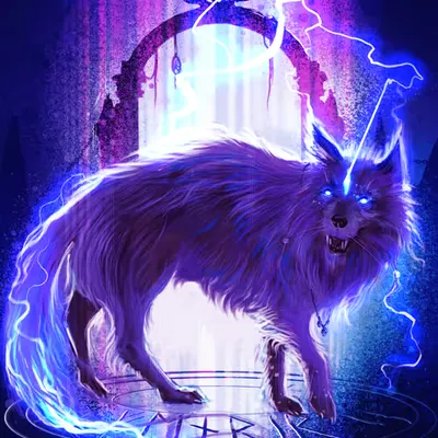 FΞNRIR