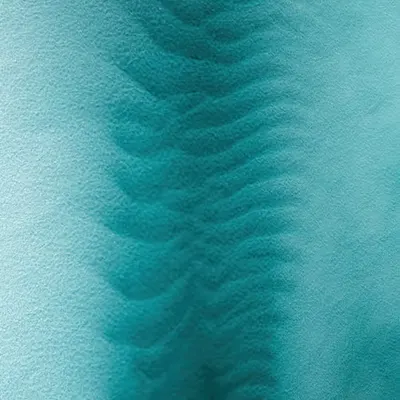 Ocean Spine
