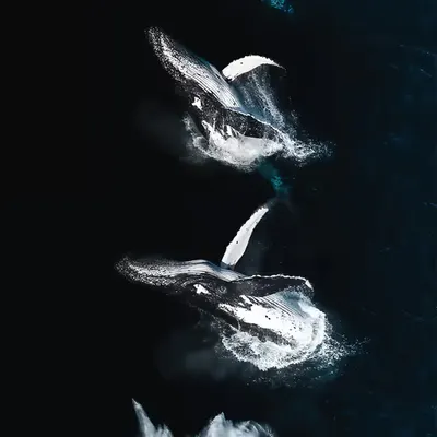 Progression of Power