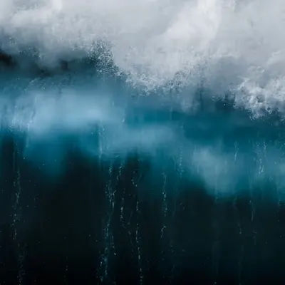 Fused