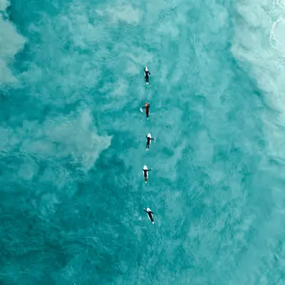 Surfline