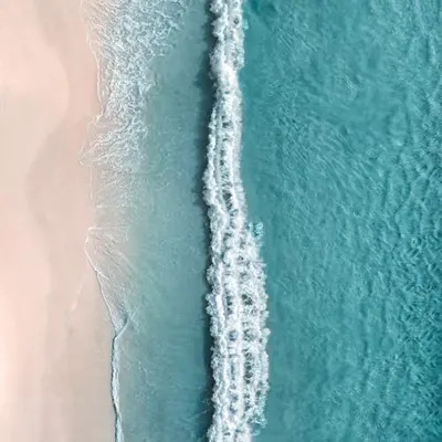 Beach Oasis 