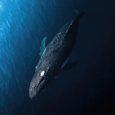 Depths of Earth