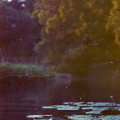If Water Holds Memories