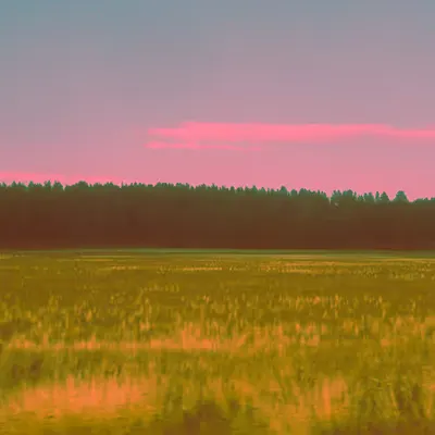 The Pink Plains  #1/3