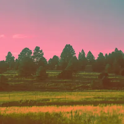 Hyrule Fields #1/2