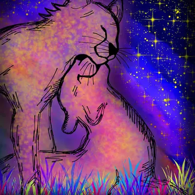 "Rainbow cheetahs"
