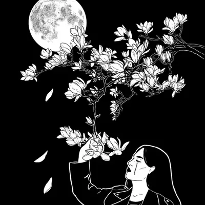 Beauty and Pain