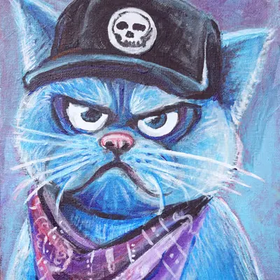 Sheepy’s Cat