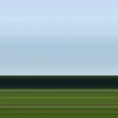Savannah Landscape - 0019