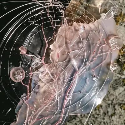 at the edge of becoming