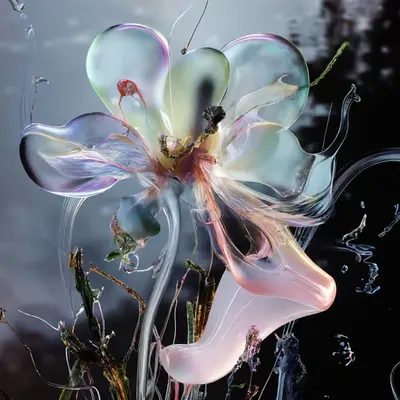 florece ii