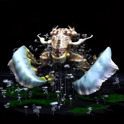 imago