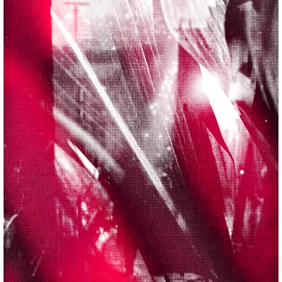 ANIMA #21