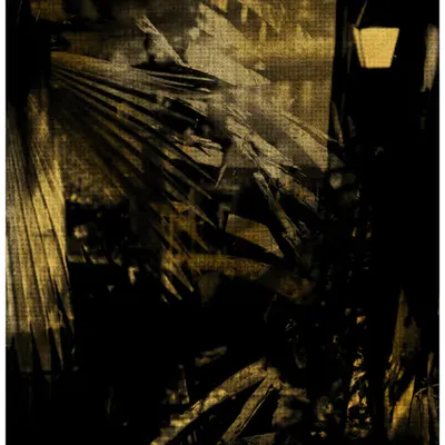 ANIMA #25