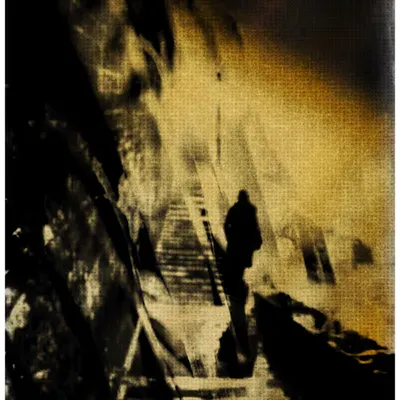 ANIMA #35