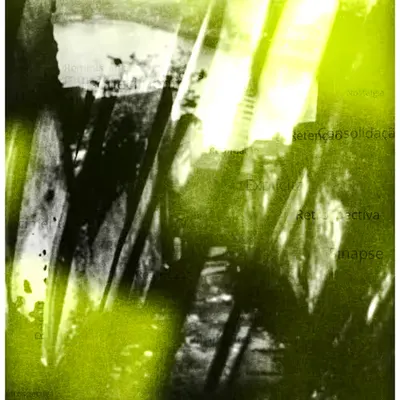ANIMA #6