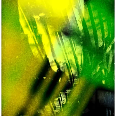 ANIMA #60