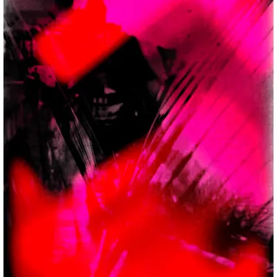 ANIMA #61