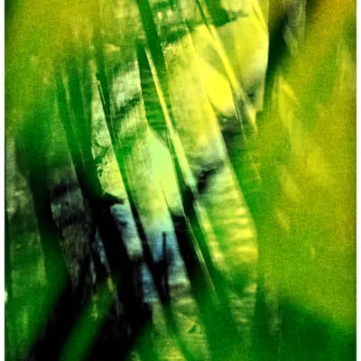 ANIMA #74