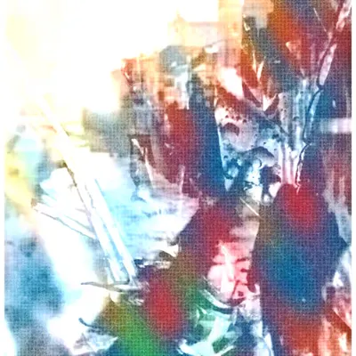 ANIMA #75