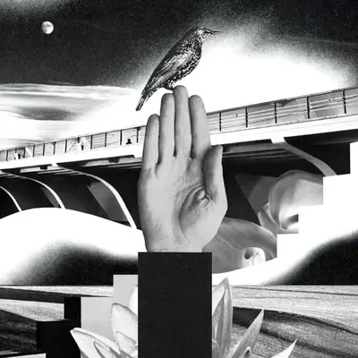 Transmission of flight 