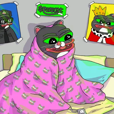 cozy pepecat