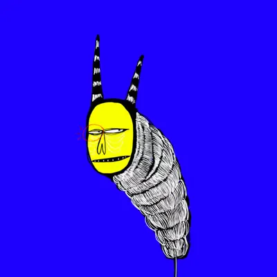 ZFREN #84