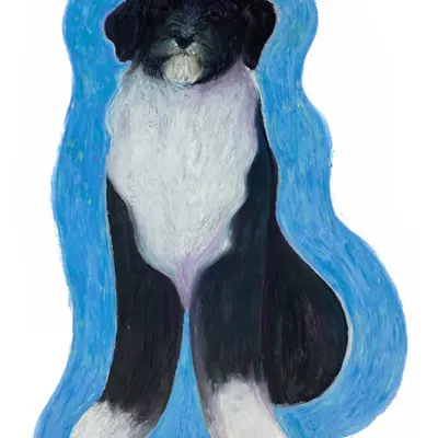 Portuguese Water Dog of EthDapps