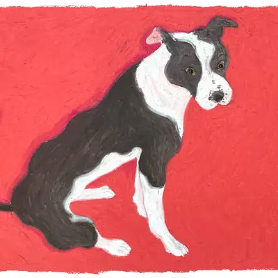 Cute Puppy of EthDapps