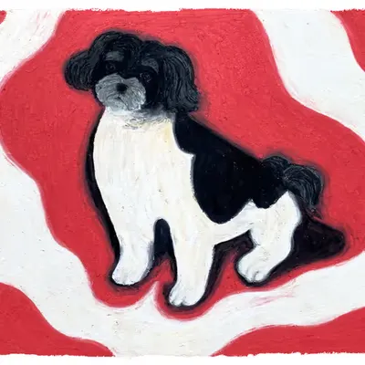 Lil Doggy of EthDapps
