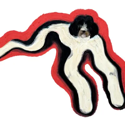 Portuguese Water Doggy of EthDapps