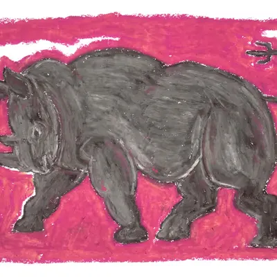 Rhinoceros of A4Astro