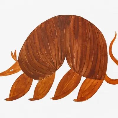 Day 15 - Armadillo
