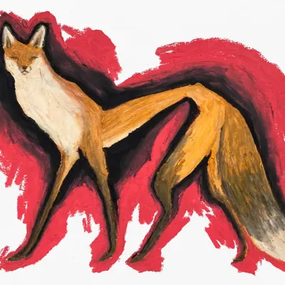 Foxy