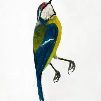 Birds of Mariupol