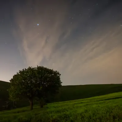 A Green Night!
