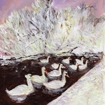 Lake of the Swans